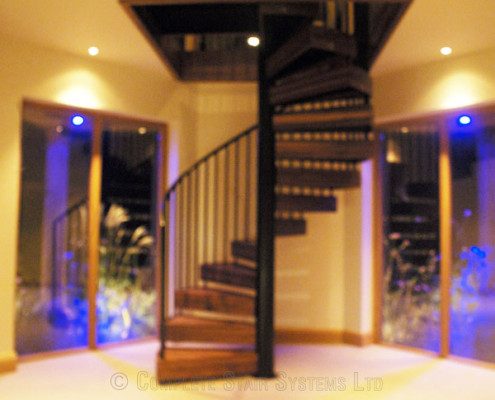 two glass doors behind a walnut spiral stair with black spindles
