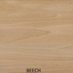 Beech Timber