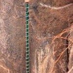 Mountain Spiral Staircase 2