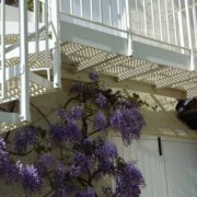 Spiral Staircase Wimborne