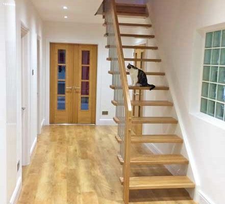 straight flight stair with open risers and cat sitting