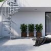 white render house with spiral staircase to one side, three green plants and black framed window